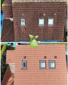 PROFESSIONAL ROOF CLEANING in Dublin - Image 1
