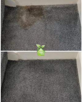 PROFESSIONAL STAIN REMOVAL in Dublin - Image 3