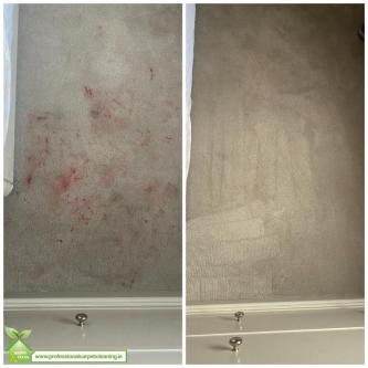 PROFESSIONAL STAIN REMOVAL in Dublin - Image 1