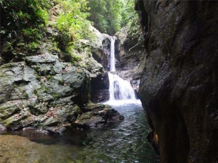PROPERTY FOR SALE ON TABLAS ISLAND, ROMBLON in Caloocan - Image 1