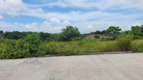 Panacan, Davao, Lot For Sale in Samal - Image 1