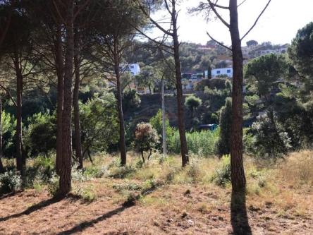 Parcela en Rio de Oro en Palafrugell - Imagen 1