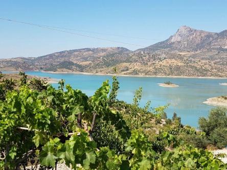 Parcela en La Rinconada - Imagen 1