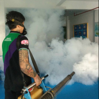 Pest Control Services in Bacoor - Image 2
