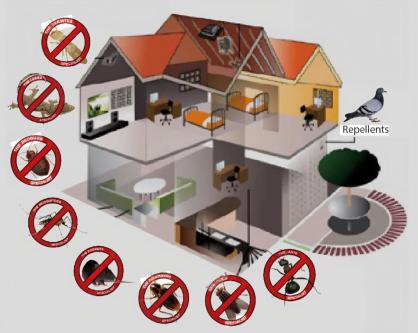 Pest Management in Bredasdorp - Image 2
