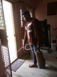 Pest control Services in Hyderabad - Image 1