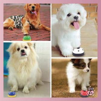 [Pet Bell Ringer] Dog Training Cat Interactive Toy|Go To … in Singapore - Image 1