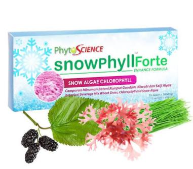 Phytoscience Snowphyll Forte in Accra - Image 3