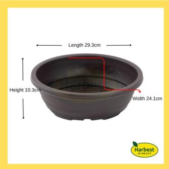 Planting Container - Wide Edge Bonsai Pot Coffee Color in Singapore - Image 1