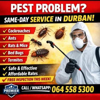 Premier Services in Durban - Image 1