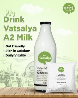 Premium Buffalo Milk Available – Check Local Quality & Rates in Kolhapur - Image 1