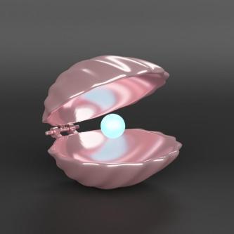 Premium Sea Shell & Oyster Collection – Digital 3D Models in Varanasi - Image 1