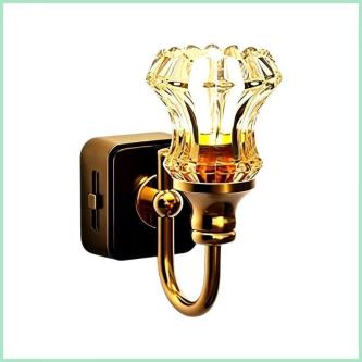 Pretty Night Lights Plug Into Wall Outlet Retro LED Flower … in Singapore - Image 1