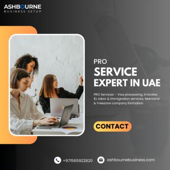 Pro Service Agency In Dubai in Dubai - Image 1