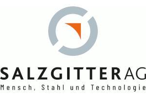 Process Professional (w/m/d) – HR Processes & Systems in Salzgitter - Bild 1