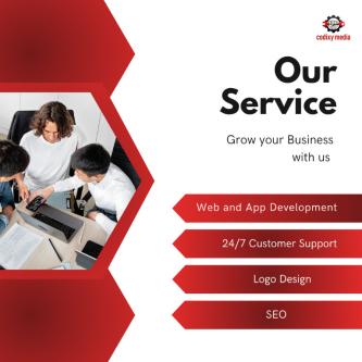 Professional Website Design & Development | Codixy Media – Boost in Jaipur - Image 2