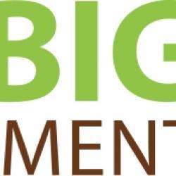 Project Co-ordinator in Cape Town - Image 1