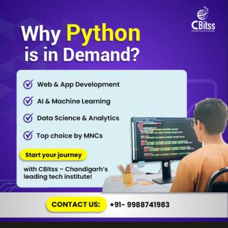 Python Training in Chandigarh Master Programming & Data Skills in Atawa Choa - Image 1