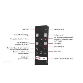 RC802V FUR6 New 1 Google Assistant Voice Remote Control For … in Kuala Lumpur - Image 1