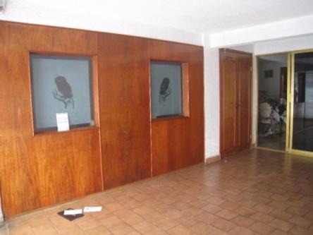 RCR - 1224. Casa en Renta en Santa Clara - Imagen 2