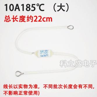 RF250V Fuse Fuse 185 Degree Rice Cooker Rice Cooker … in Singapore - Image 1