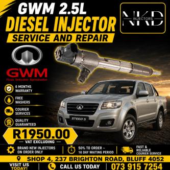 Recon Your GWM 2.5L Diesel Injectors in Durban - Image 1