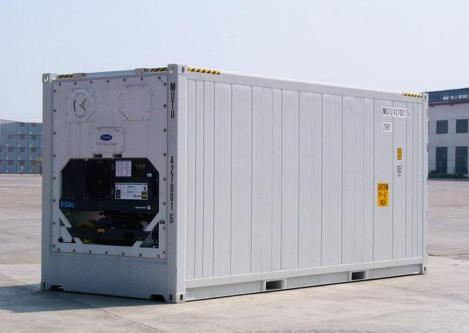Reefer, Storage, Shipping, and Converted Containers. in Springs - Image 4