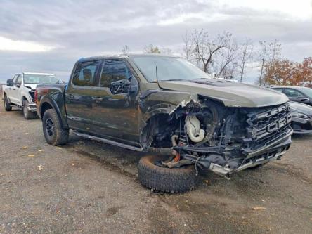 Repairable Cars 2024 Ford F150 RAPTOR for Sale in Jersey City - Image 1