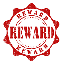 Reward for Busty Female in Coffs Harbour - Image 1