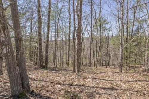 Ridge Rd Lot,bath, Plot For Sale in Portland - Image 1