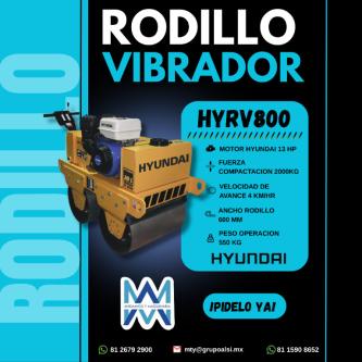 Rodillo Vibratorio* en Tizimín - Imagen 1