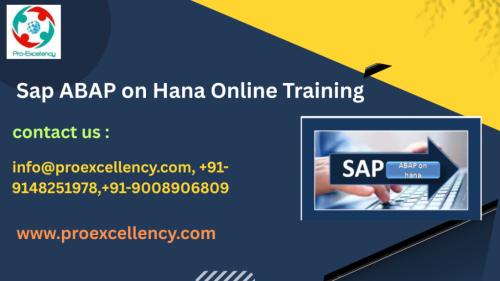 SAP ABAP on HANA with Live System Practice – Proexcellency in Ejipura - Image 1