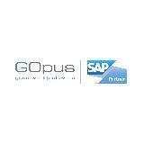 SAP Developer (m/w/d) in Nordhorn - Bild 1