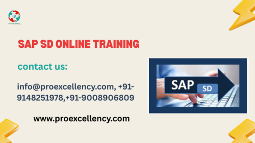 SAP SD Training with Certification – Proexcellency Solutions in Ejipura - Image 1