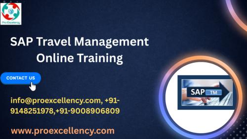 SAP Travel Management Certification Training A Complete Guide in Ejipura - Image 1