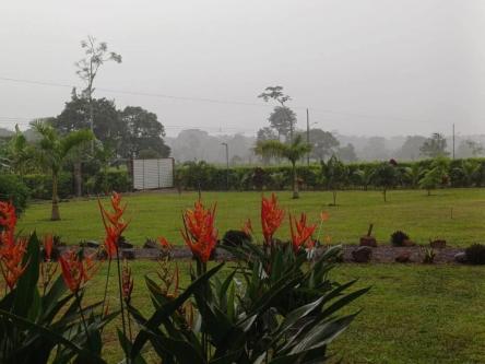 SE VENDE BELLA PROPIEDAD CON 2 CASAS EN SARAPIQUÍ. en Sarapiquí - Imagen 11