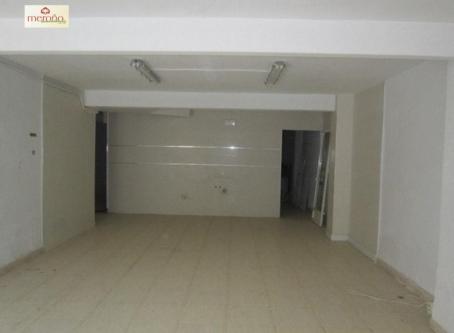 SE VENDE FINCA RÚSTICA DE 8735 METROS CUADRADOS CON DOS … en Elx - Imagen 1