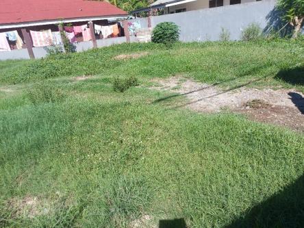 SEMI COMMERCIAL PROPERTY FOR SALE ID 14901 in Dumaguete - Image 15