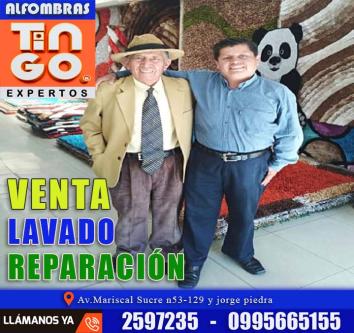SERVICIO A DOMICILIO - LAVADO DE ALFOMBRA en Quito - Imagen 14