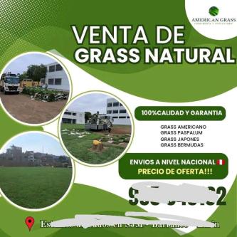 SERVICIO DE JARDINERIA A DOMICILIO EMPRESAS CONDOMINIOS en Lima - Imagen 3