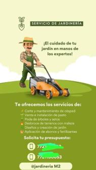 SERVICIO DE JARDINERIA A DOMICILIO EMPRESAS CONDOMINIOS en Lima - Imagen 4