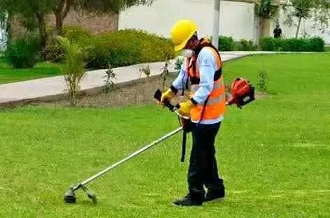 SERVICIO DE JARDINERIA A DOMICILIO EMPRESAS CONDOMINIOS en Lima - Imagen 7