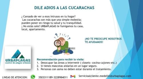 SERVICIO FUMIGACION en Medellín - Imagen 4