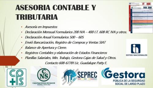 SERVICIOS CONTABLES Y TRIBUTARIOS en Santa Cruz de la Sierra - Imagen 1