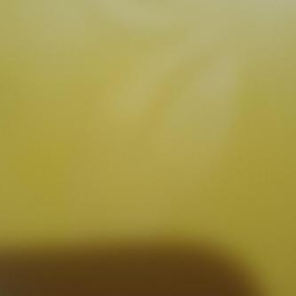 SOY UNA JOVENCITA CATALINA DEL ROSARIO en Paine - Imagen 1