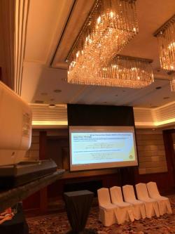 Sales and Rental Projector Services in Plain View - Image 3