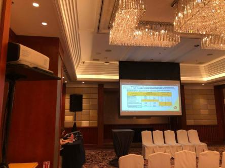 Sales and Rental Projector Services in Plain View - Image 4