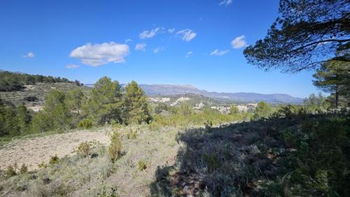 Se Vende Terreno Rural en Alcoi - Imagen 1