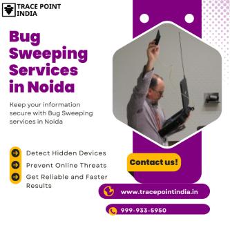 Secure Your Space — Comprehensive Bug Sweeping Services in Gautam Budh Nagar - Image 1