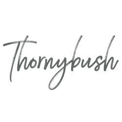 Service Manager in Phalaborwa - Image 1